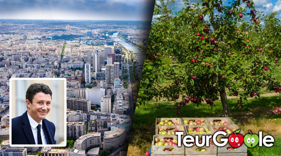 Municipales Paris